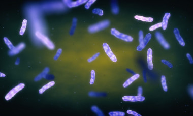 Ce trebuie să știi despre tratamentul leprei. Medic infecționist: „Poate dura și până la doi ani!” Două cazuri au fost confirmate la Cluj