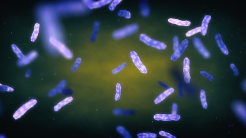 Ce trebuie să știi despre tratamentul leprei. Medic infecționist: „Poate dura și până la doi ani!” Două cazuri au fost confirmate la Cluj