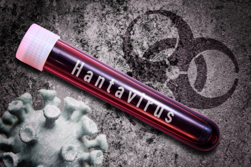 Hantavirus