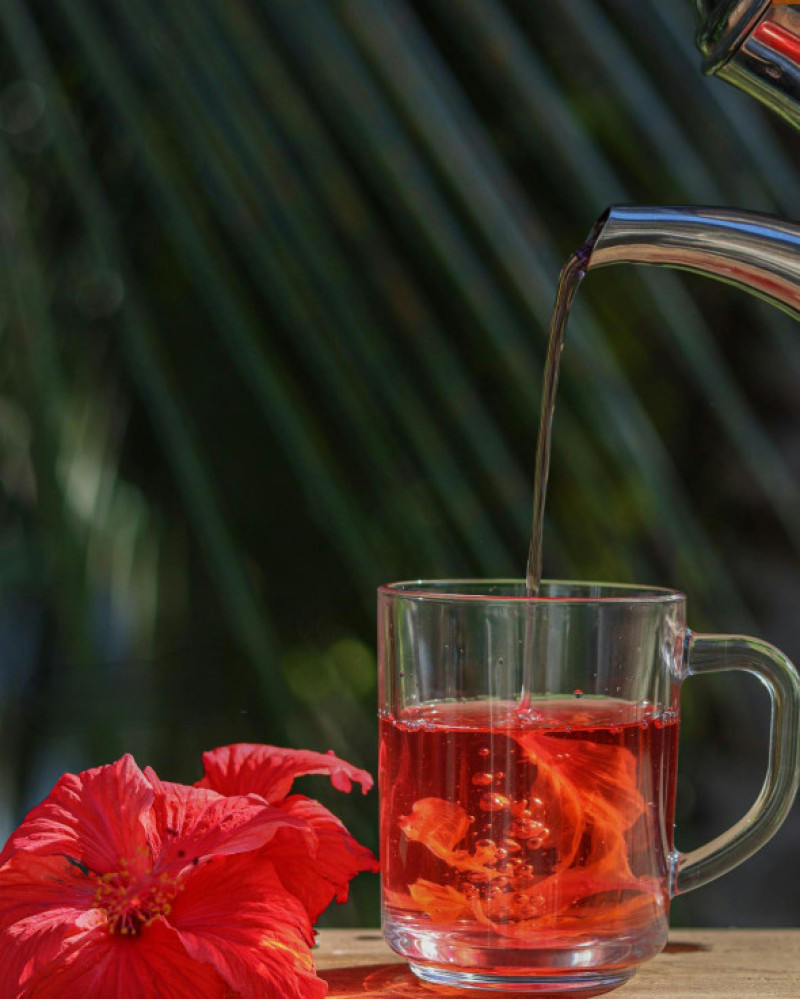 ceai de hibiscus