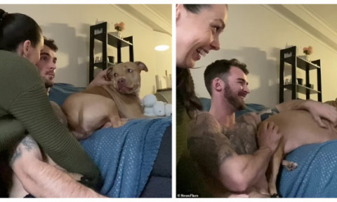 Reacția unui câine atunci când își vede stăpânii sărutându-se. Imaginile sunt virale: ”Când realizezi că ești a cincea roată la căruță”