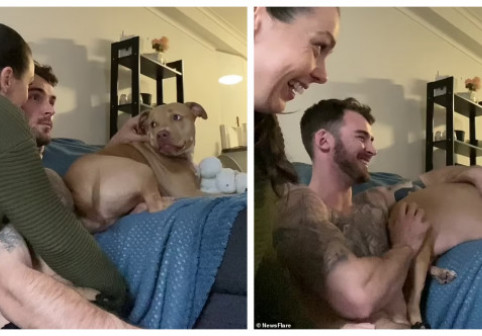 Reacția unui câine atunci când își vede stăpânii sărutându-se. Imaginile sunt virale: ”Când realizezi că ești a treia roată la căruță!”