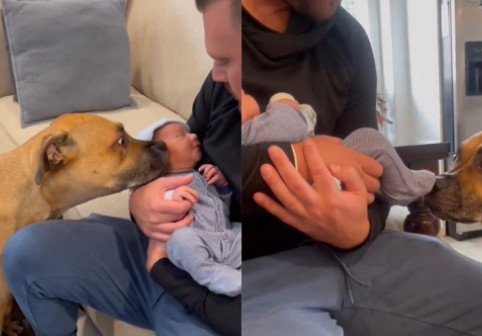 Reacția unui câine atunci când stăpânii lui au venit cu un bebeluș acasă. Imaginile au devenit virale