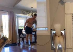 Cum reacționează un câine atunci când e certat de stăpân pentru năzbâtia făcută. Imaginile sunt virale