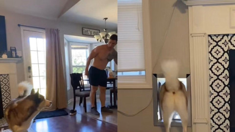 Cum reacționează un câine atunci când e certat de stăpân pentru năzbâtia făcută. Imaginile sunt virale