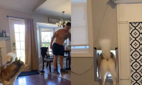 Cum reacționează un câine atunci când e certat de stăpân pentru năzbâtia făcută. Imaginile sunt virale