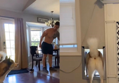 Cum reacționează un câine atunci când e certat de stăpân pentru năzbâtia făcută. Imaginile sunt virale