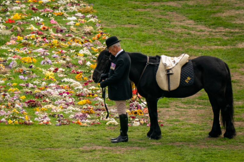 Emma, poneiul Reginei  Elisabeta a II-a, a fost la înmormântare/ Profimedia