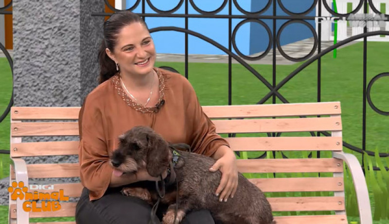 la ora 13.00, la Digi Animal Club, vorbim despre câinii Teckel cu păr sârmos alături de Cristina Pânzariuc.