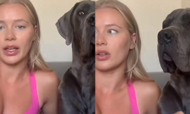 O femeie și-a dresat câinele să mârâie la bărbații care i se par periculoși: „Încerc doar să mă mențin în siguranță”