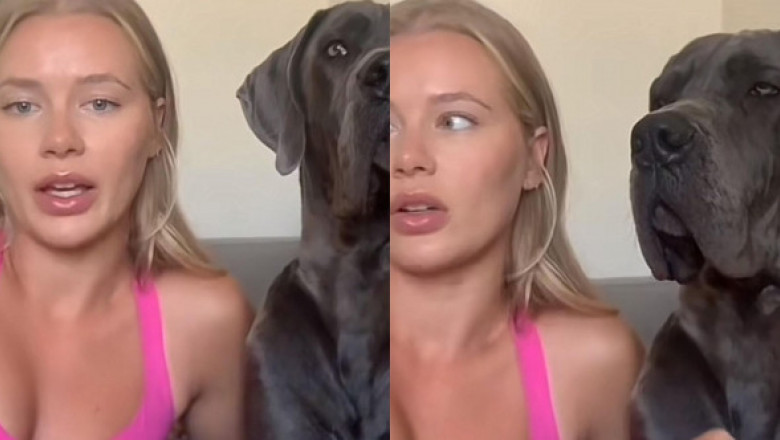 O femeie și-a dresat câinele să mârâie la bărbații care i se par periculoși: „Încerc doar să mă mențin în siguranță”