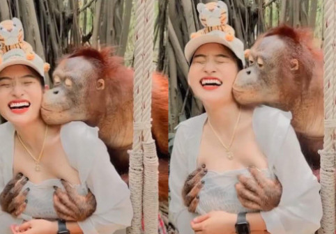 Reacția unei femei după ce a fost sărutată de un urangutan în timpul vizitei sale la grădina zoologică: „Am izbucnit în râs”