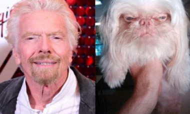 Asemănarea izbitoare dintre un câine și unul dintre cei mai bogați oameni ai lumii. „De necrezut! Sunt exact la fel”