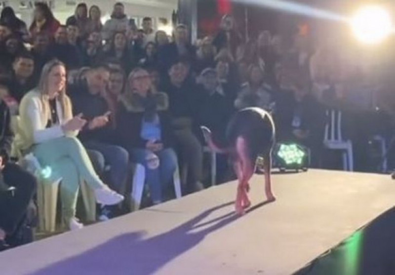 Momentul inedit în care un câine a defilat pe podium la Miss São Mateus do Sul 2022/ TikTok