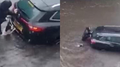 Imagini virale cu un câine care a ajutat o femeie să mute o mașină blocată din cauza unei inundații. Oamenii au fost șocați