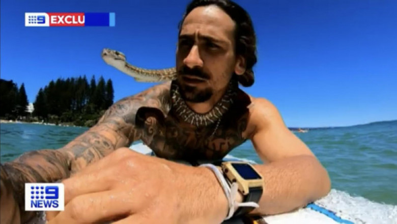 Ce a pățit un bărbat din Australia după ce a făcut surf cu un șarpe. Pitonul era așezat în jurul gâtului său