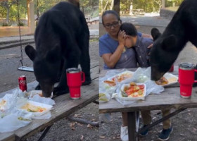 Povestea din spatele videoclipului viral cu mama care își protejează fiul în timp ce un urs le mănâncă picnicul: „Nu s-a văzut asta”