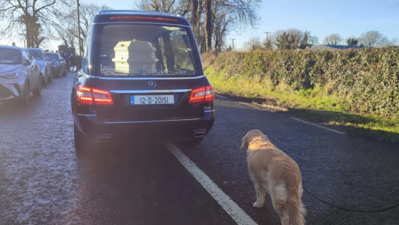 Gestul pe care l-a făcut un câine după ce stăpâna lui a murit. Oamenii, în lacrimi: Ce imagine!