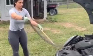 Ea este cea mai curajoasă mamă! Femeia a scos cu mâinile un șarpe uriaș care își făcuse cuib în motorul mașinii fiicei sale