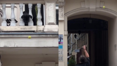 Gestul făcut de un câine după ce a fost lăsat singur acasă. A ieșit pe balcon și le-a făcut o surpriză trecătorilor