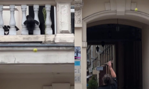 Gestul făcut de un câine după ce a fost lăsat singur acasă. A ieșit pe balcon și le-a făcut o surpriză trecătorilor