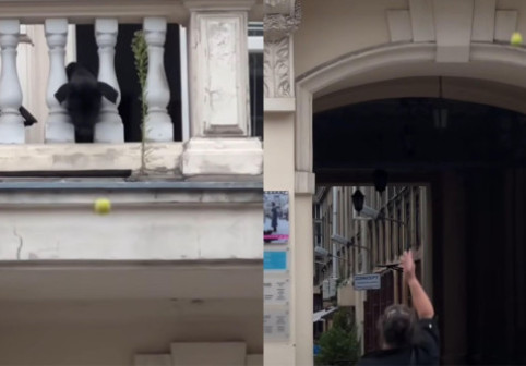 Gestul făcut de un câine după ce a fost lăsat singur acasă. A ieșit pe balcon și le-a făcut o surpriză trecătorilor