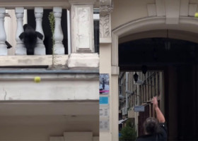 Gestul făcut de un câine după ce a fost lăsat singur acasă. A ieșit pe balcon și le-a făcut o surpriză trecătorilor