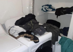 Ce a găsit un bărbat când se pregătea să-și spele rufele: „Era în haine, am rămas traumatizat”