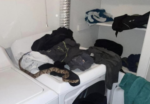 Ce a găsit un bărbat când se pregătea să-și spele rufele: „Era în haine, am rămas traumatizat”