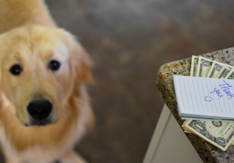 O femeie a câștigat la loterie datorită câinelui său: „Dacă nu mușca biletul nu mă aflam aici”