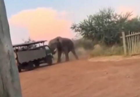 Momentul în care un elefant furios lovește un camion de safari plin de turiști, în Africa de Sud. Imaginile sunt virale