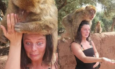 O femeie a fost la un pas să-și piardă degetul, după ce o maimuță a crezut că unghia ei este o arahidă. Imaginile sunt virale