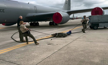 Un aligator a adormit sub un avion al Forțelor Aeriene din Florida. Momentul când reptila este evacuată de pe baza armatei americane