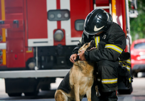 Un pompier a devenit un erou după ce a salvat un câine dintr-un incendiu. I-a făcut respirație gură la gură