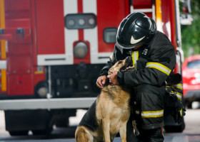 Un pompier a devenit un erou după ce a salvat un câine dintr-un incendiu. I-a făcut respirație gură la gură