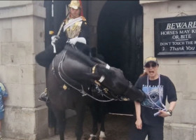 Momentul când o turistă este mușcată de calul Gărzii Regale Britanice. Femeia a leșinat în mijlocul mulțimii