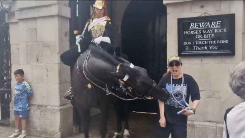 Momentul când o turistă este mușcată de calul Gărzii Regale Britanice. Femeia a leșinat în mijlocul mulțimii
