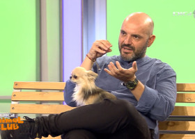 În urgențele veterinare, fiecare minut contează: ”Amânarea tratamentului poate duce la complicații grave, ireversibile”