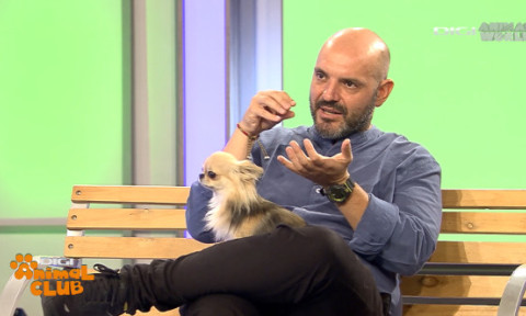 În urgențele veterinare, fiecare minut contează: ”Amânarea tratamentului poate duce la complicații grave, ireversibile”
