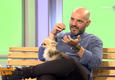 În urgențele veterinare, fiecare minut contează: ”Amânarea tratamentului poate duce la complicații grave, ireversibile”