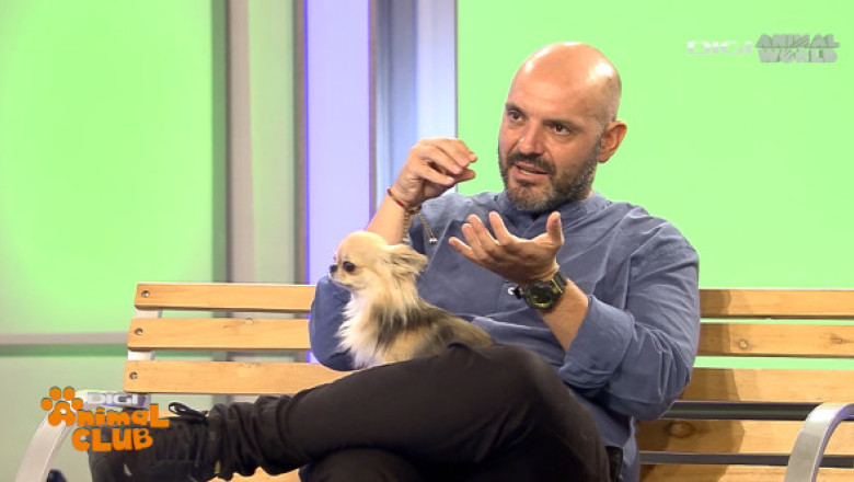 În urgențele veterinare, fiecare minut contează: ”Amânarea tratamentului poate duce la complicații grave, ireversibile”
