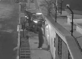 Momentul când un câine prinde o dinamită cu botul și oprește explozia. A salvat 10 oameni de la moarte