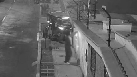 Momentul când un câine prinde o dinamită cu botul și oprește explozia. A salvat 10 oameni de la moarte