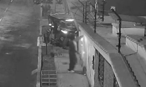 Momentul când un câine prinde o dinamită cu botul și oprește explozia. A salvat 10 oameni de la moarte