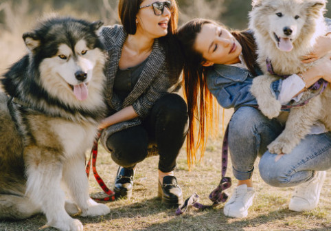 Cele mai bune rase de câini pentru primul tău animal de companie. Alegerea care îți poate schimba viața