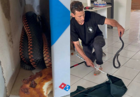 Au comandat o pizza, dar s-au trezit cu un musafir nepoftit. Ce a găsit o familie din Australia lângă resturile de mâncare