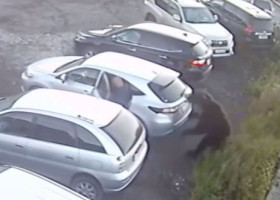 Momentul când un bărbat este atacat de un urs într-o parcare. Imaginile au devenit virale