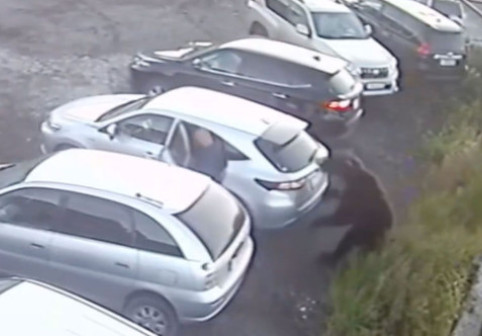 Momentul când un bărbat este atacat de un urs într-o parcare. Imaginile au devenit virale