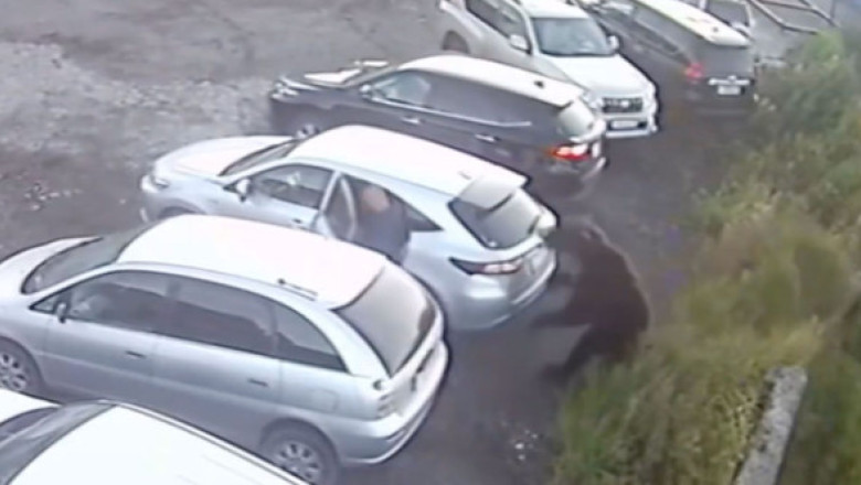 Momentul când un bărbat este atacat de un urs într-o parcare. Imaginile au devenit virale