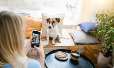 Câți bani a câștigat un câine de pe Instagram în 2024. Oamenii sunt șocați: „Câștigă mai bine decât mine”